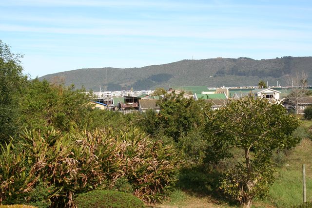0 Bedroom Property for Sale in Knysna Central Western Cape